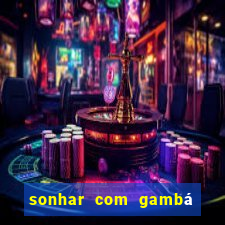 sonhar com gambá jogo do bicho